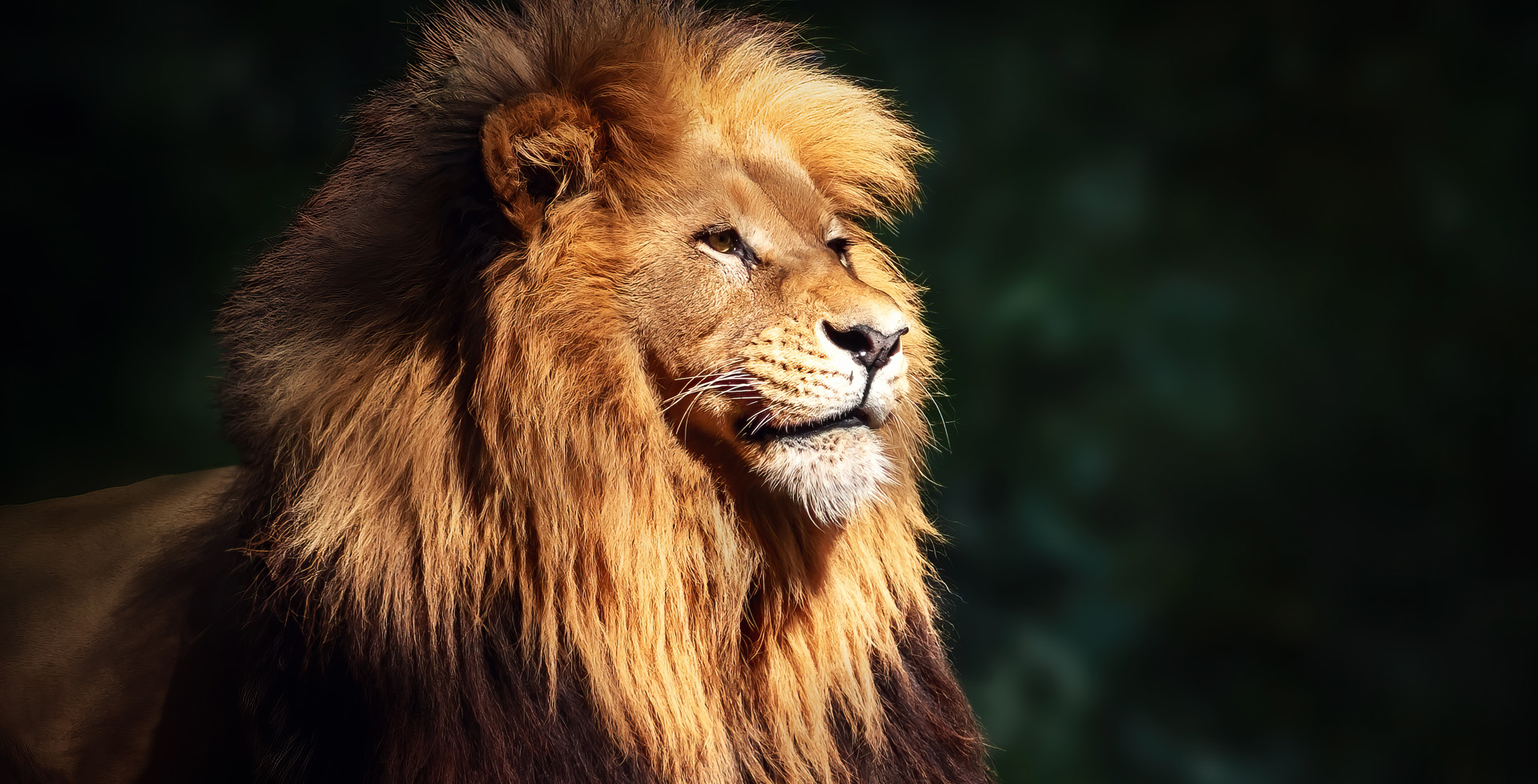 Job Hunting Season with Empire Talent